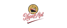 logo_kapal-api